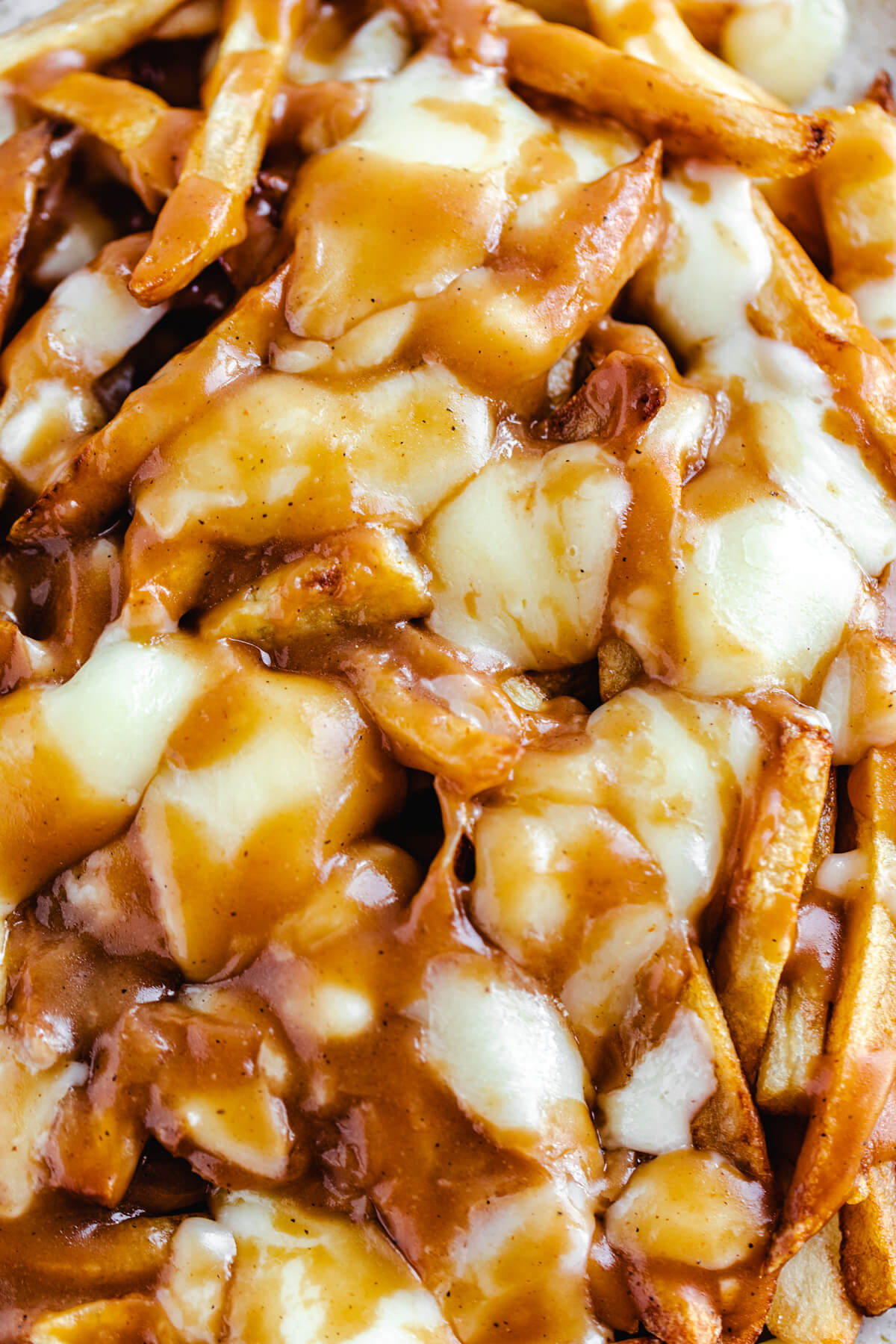 close up view of fries, melted cheese curds and gravy