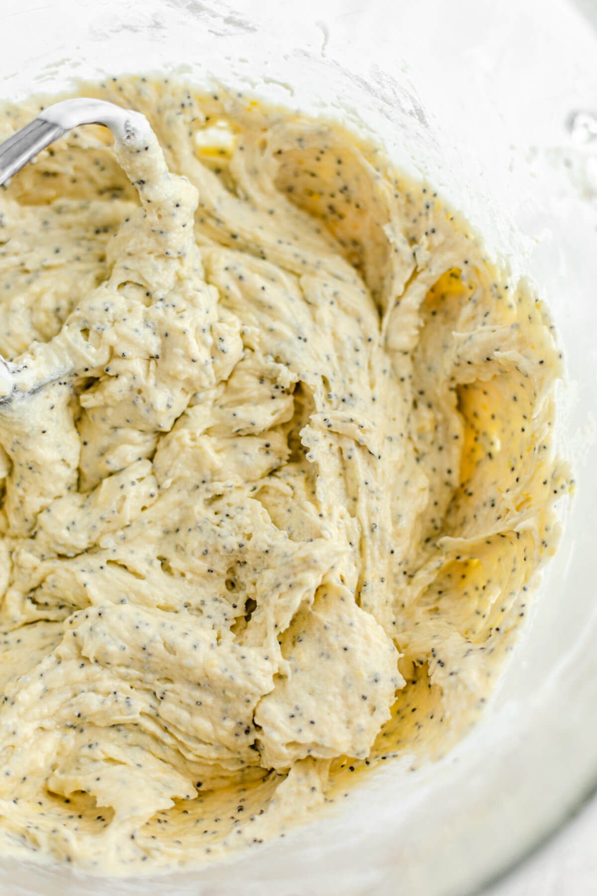 poppy seed loaf batter close up