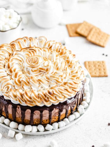 ice cream cake on a white platter with mini marshmallows on the bottom of it