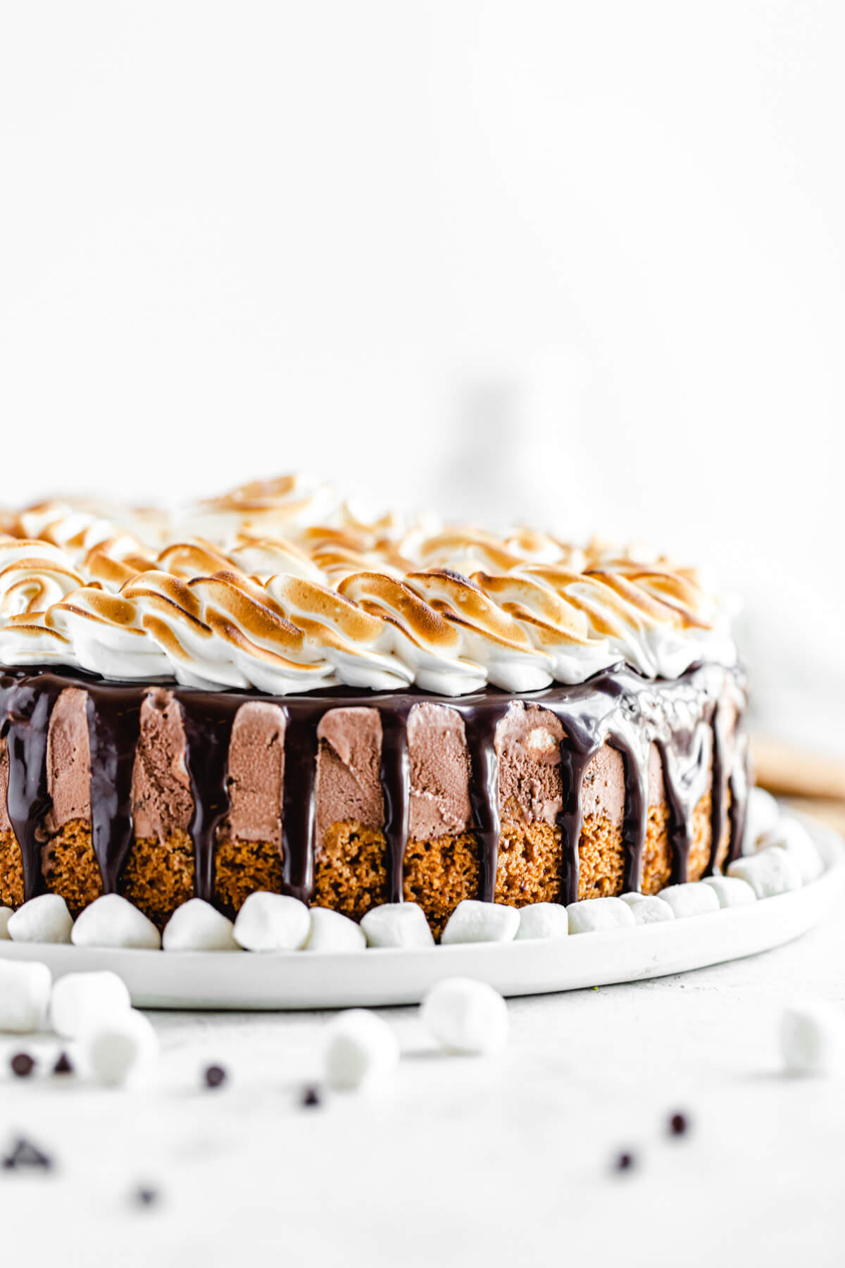 close up side view of ice cream cake with mini marshmallows around it
