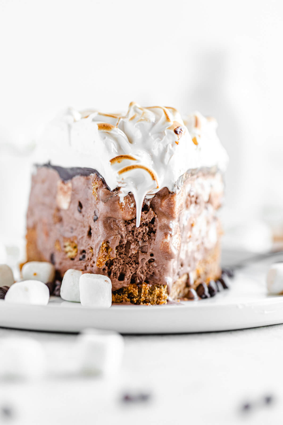 close up front view showing slice of ice cream cake with a bite taken out of it