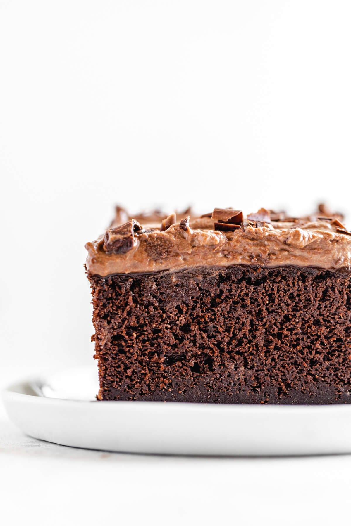 close up of a slice of cake on a white plate