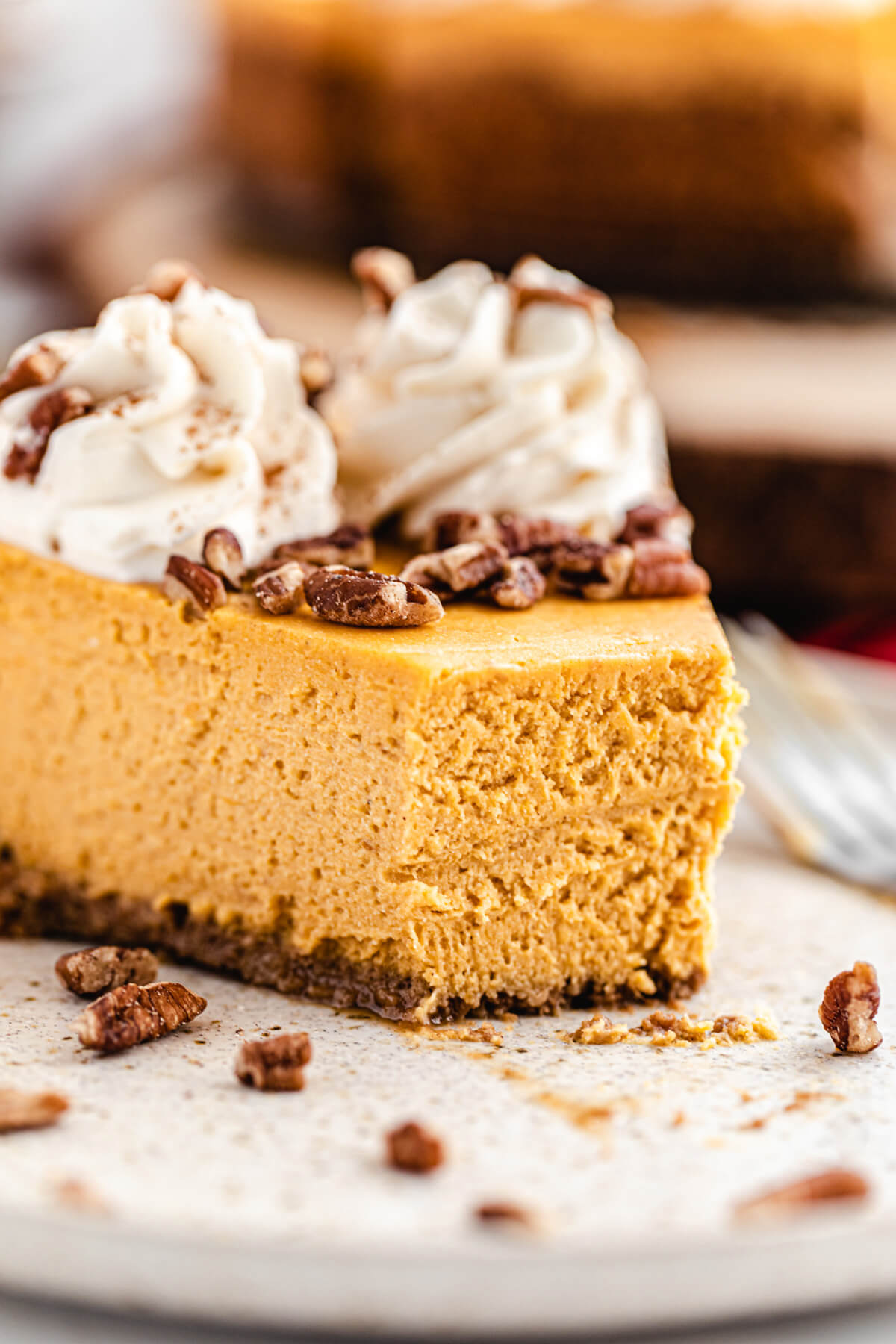 Pumpkin Cheesecake with Gingersnap Crust Recipe Queenslee Appétit