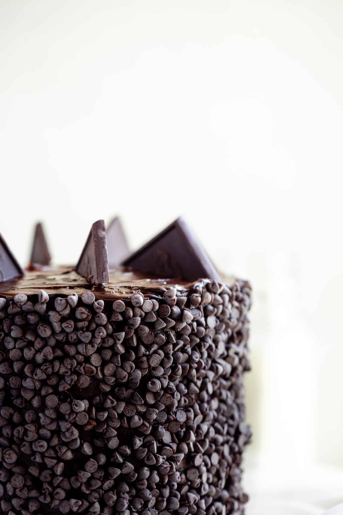 close up of cake covered in chocolate chips
