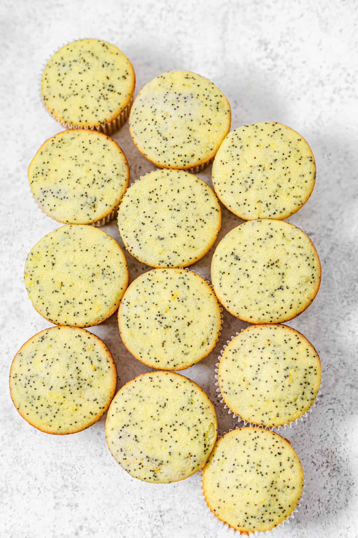 three rows of lemon cupcakes