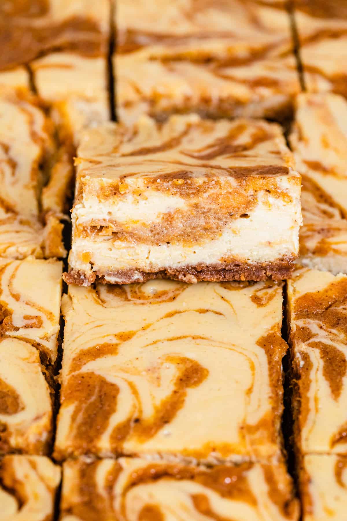 cheesecake swirled with sweet potato pie