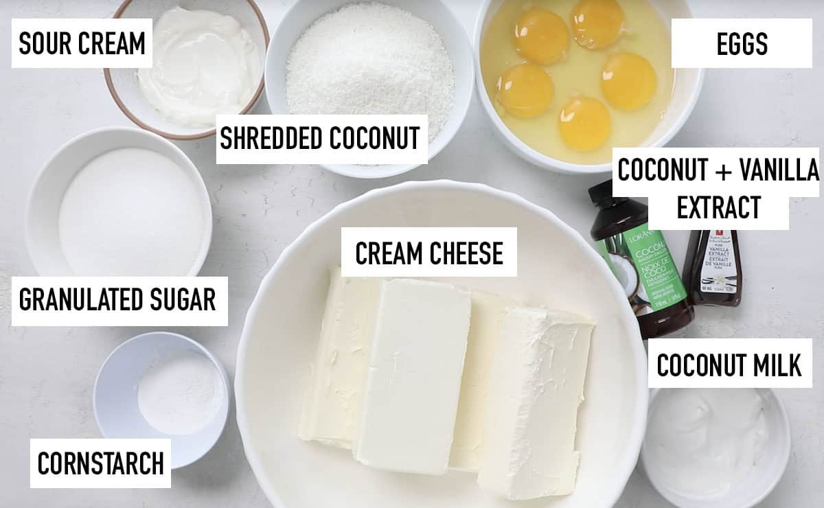 ingredients for coconut cheesecake