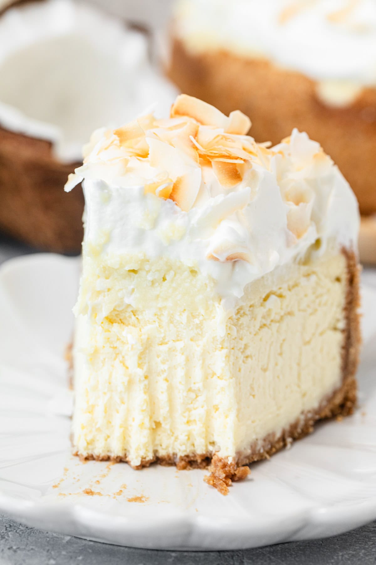 A close-up slice of cheesecake topped with whipped cream and toasted coconut flakes on a white plate, with a fork resting beside it and the whole cheesecake visible in the background.